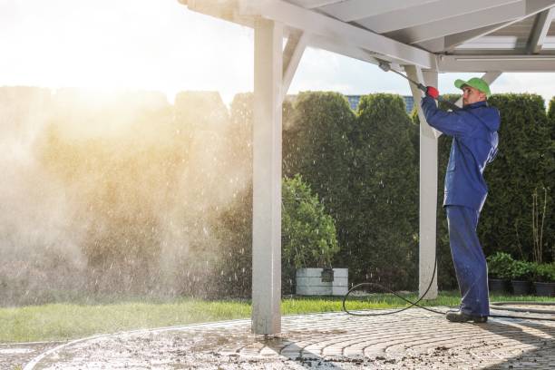 Best Fleet Vehicle Washing  in Verona Walk, FL